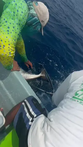 En alguna parte del gulf of Mexico 🇲🇽 🔥 #shimano 