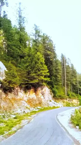 Rasha janan na bhool jana.#hazarawall ❤️🥀🌿😘#pleaserepostvideo #🌿🥀❤️🧑‍🤝‍🧑👨‍❤️‍💋‍👨💞 #viralvideo #viralvideo 