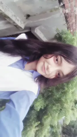 🎶🎵💃#unfrezzmyaccount  #fyppppppppppppppppppppppp #copylinkplease💗 #bdtiktokofficial🇧🇩 