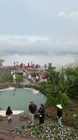 Săn mây chiều lúc 17:30 tại cà phê Miền Du Mục | Đà Lạt #dalat #sanmaydalat #miendumuc #lachucotran #congchiengtaynguyen 