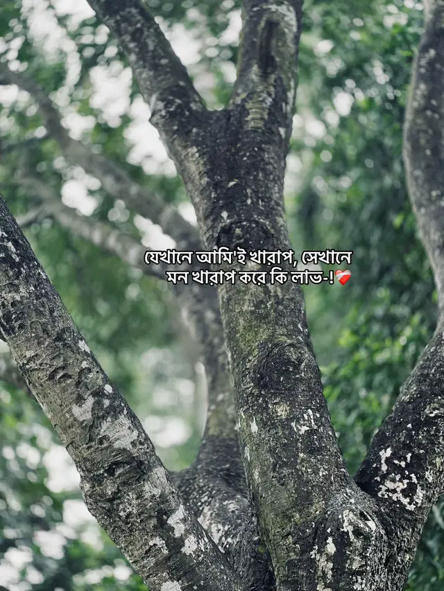 #viralvideo #trending #fyp #fyyyyyyyyyyyyyyyyyyy #sadvideo 