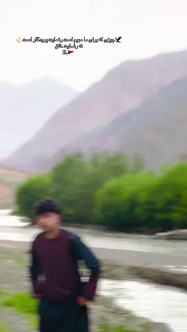 #foryou #foryoupage #fyp #vrail #500k  بیدرا اکونت تازه فالو بگرین  🇦🇫🌺🩵❤️