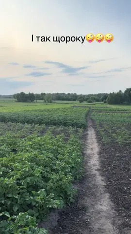 #грядки #вдома 
