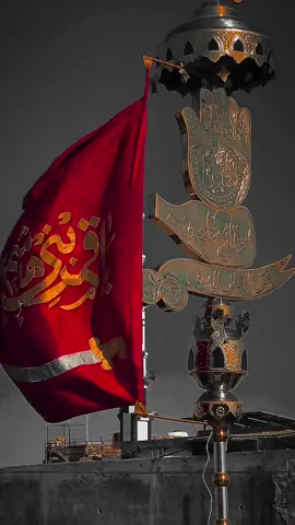 Mujhy ABBAS kehty han🚩🫠 . . #yaghaziabbasع #yaabbasع #shiastatus #fyp #viral 