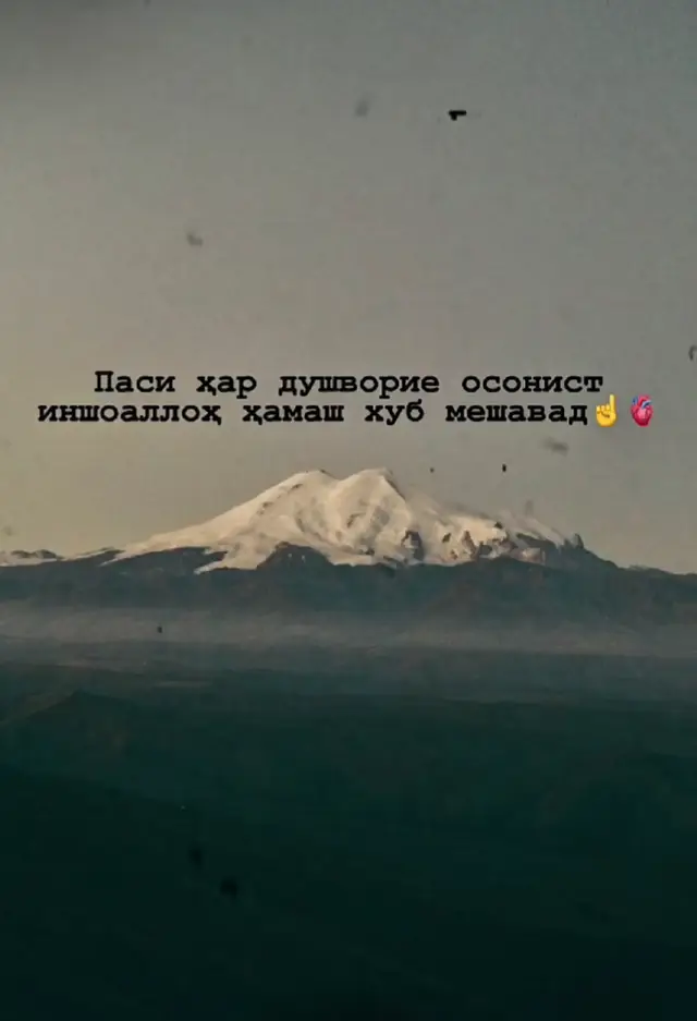 ИншаАллох 😊☝🏻☘️🌱🌺