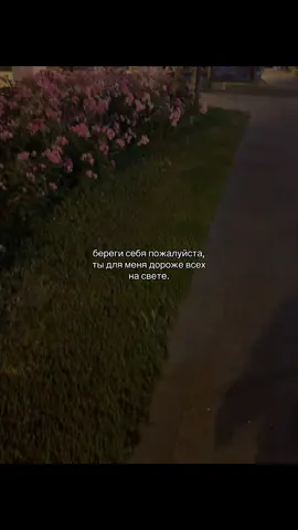 Трек и цитаты из видео в тгк: @ezhovkasongs #ezhovka 