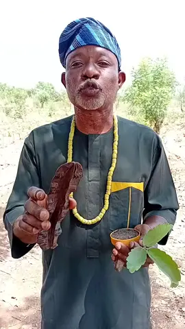 ose Atude#traditional #viral #africantiktok #fyp #oseatude
