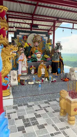 Dồ hội #dồhộinúicôtô #thuyềnbátnhã #nuicotoangiang#nuicotoangiangtreding 