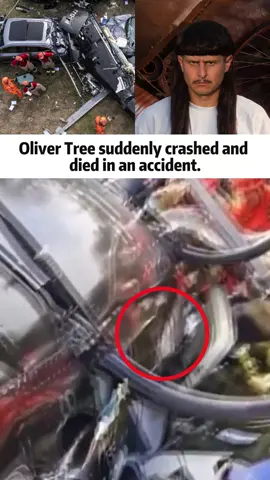Oliver Tree suddenly crashed and died in an accident.#olivertree #musician #helicoptercrash #passedaway #breakingnews