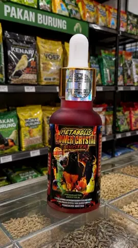 metabolisme power crystal penggacor burung kicau seketika#metabolis 