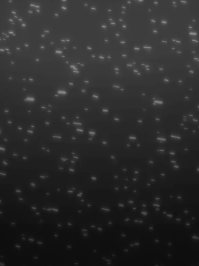 Dracula - Tame Impala #fyppppppppppppppppppppppp #dypdongggggggg #song #famous #dracula#australia #Aftereffect