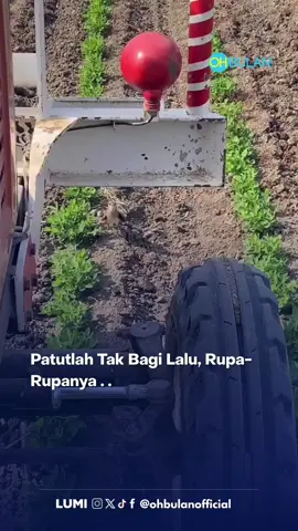Comel je ea siap halang 😂 Sumber Video: Thread amrrzly #ohbulan #burung #halang #telur P/s: Video ini bukan milik OhBulan! dan kredit telah diberikan kepada pemilik asal. Jika anda ingin kami menurunkan video tersebut, sila hantarkan DM kepada kami dengan segera. Terima kasih!