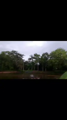 🌹🌹💝 মেঘলা আকাশ 