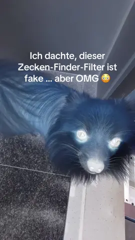 Es ist Zecken Saison !!! Funktioniert der Filter euch bei euch? #ticks #ticksdog #doghealth #zecken #tickfilter