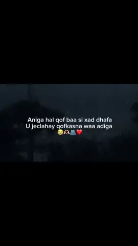 Udirr ayada 🫶🏻🫂❤️ . . . ##fouryoupage ##viewsproblem💔😔 ##lovesaar ##shaikh_dhagax 