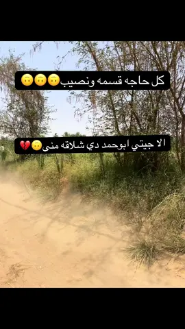 #بورتسودان_البحر_الأحمر  #نهرالنيل_شندي_الدامر_عطبره_بربر_ابوحمد 
