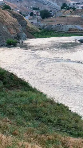 ڕووباری باڵەكیان  ۱٥ـ٦ـ۲٠۲٦