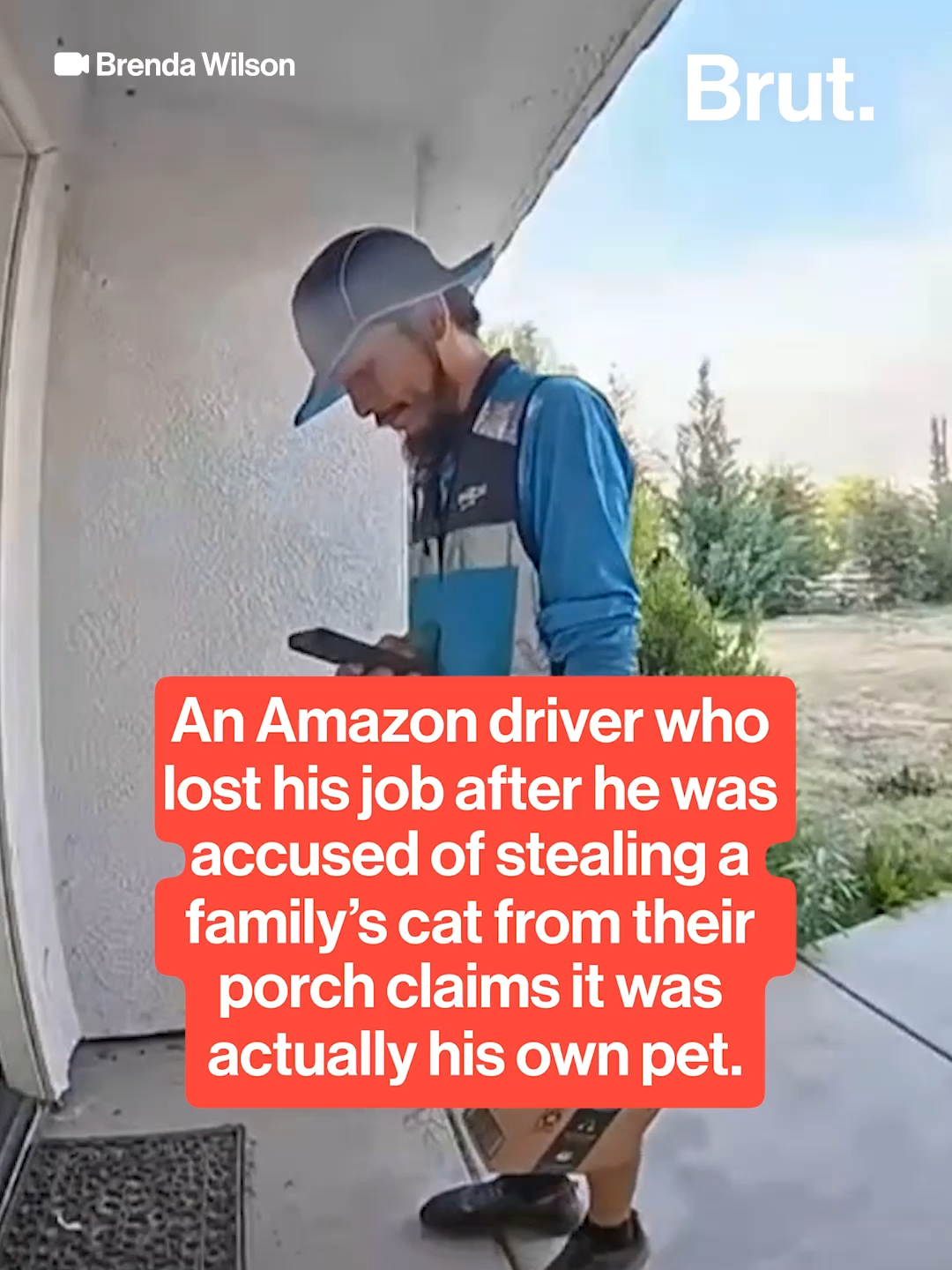 An Amazon delivery driver who went viral for allegedly stealing a cat from a family's front porch now claims that he believes the cat is his own. #Amazon #Delivery #Cat #Catnapping