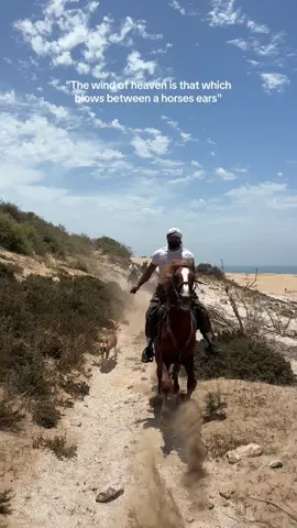 #horseriding #horses #horsesoftiktok #arabhorse #horserider 