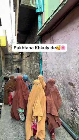 پختانه خکولې دې 🌸🥰❤️🥀 . . . . . . #bilalkhanmountainsguy #buner #peace #Love #khyberpakhtunkhwa 