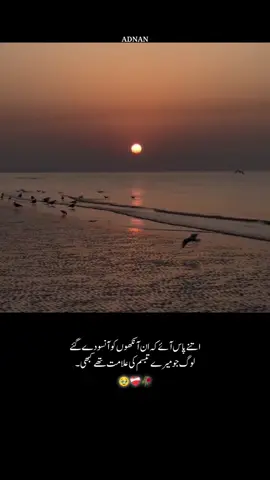 جومیرے تبسم کی علامت 🥹❤️‍🩹🥀 #ADNAN!!❤️‍🩹🥀#viewsproblem😭 #onesidedlove 