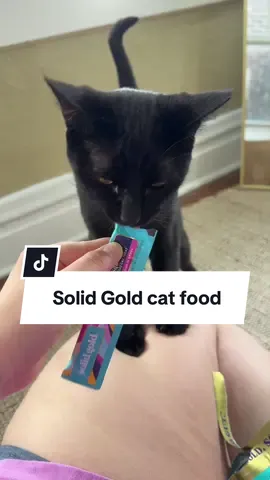 Taste test at 00:36!! Trying a new cat food with more real ingredients for my black cat Oliver!! This is the SeaMeal Tuna Mousse and Indoor Cats Dry Food from @Solid Gold Pets 🩵 #catfoodreview #solidgold #solidgoldpets #dealsforyoudays 