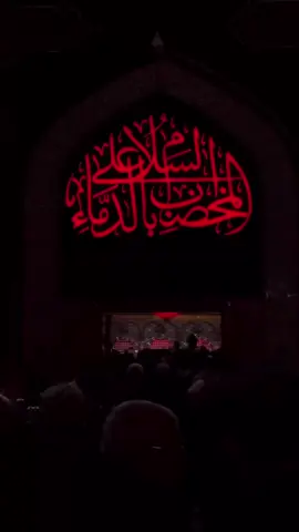 لبيك يا حسين بالأهل و الولد #محرم_عاشوراء #السلام_عليك_يااباعبد_الله_الحسين #حسين_خير_الدين 