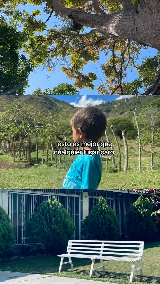 Te lo aseguro, es lo mejor #campo #montaña #viral 