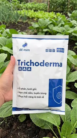 #trichoderma 