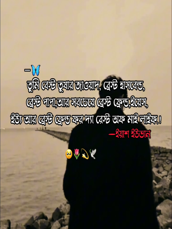 ব্রেস্ট ফ্রেন্ড ❤️‍🩹🥺 #তুষার_জাওয়াদ #ইয়াশ_ইউভান #আমি_শুধু_চেয়েছি_তোমায় #উপন্যাস #উপন্যাসপ্রেমি 