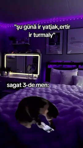 #Meme #MemeCut #CapCut 