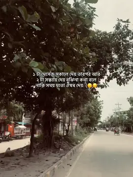 ১ টা মেসেজ সকালে দেয় তারপর আর ২ টা সন্ধ্যায় দেয় বুঝিনা কথা বলে নাকি সময় মতো ঔষধ দেয়: (🙂🥴😒 .. .. .. .. .. .. .. .. .. .. .. .. .. .. .. .. .. .. .. .. .. ..  .. .. .. .. .. .. .. .. .. .. .. .. .. .. .. .. .. .. .. .. .. .. .. .. .. .. .. .. ..  .. .. .. .. .. .. ..  .. .. .. .. .. .. .. .. .. .. .. .. .. .. .. .. .. .. .. .. ..  .. .. .. .. .. .. .. #foryou #foryoupage #fyppppppppppppppppppppppp #500kview #viraltiktok @_RiFu_🕊️⚡ @Tik Tok 