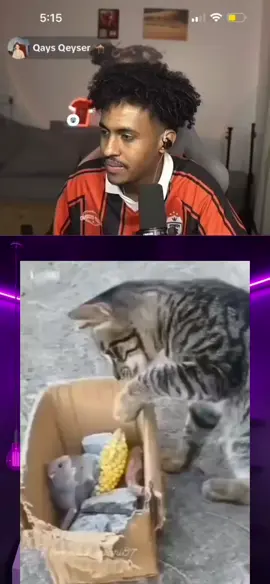 #reaction @Qays Qeyser 🐪 #soomali #live #isteamer #😂😂😂😂😂 