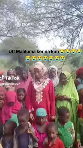 #CapCut 
