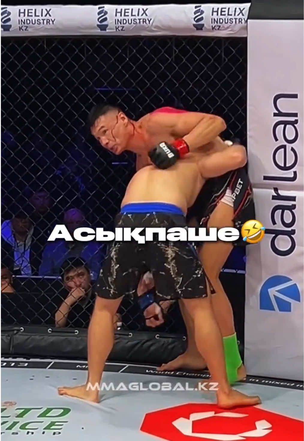 #jaks #champion #mma 