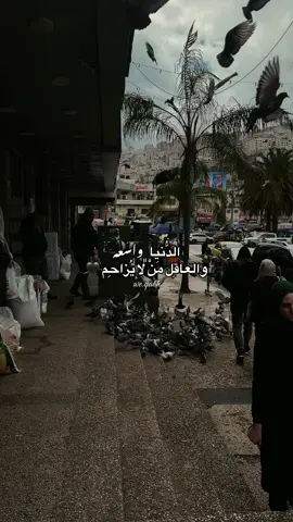🖤. #جنين #foryou #fyp #vrial #🖤🥷🏻 