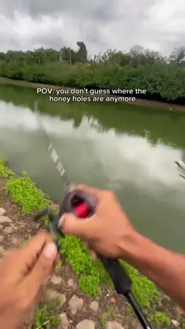 Insane catches every single time😮‍💨 #fishai #fishinglife #fishing fish #angler #anglerlife
