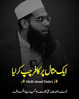 ایک مثال پر کافر چپ کرلیا #deen #fbyツ #muftishamailnadwi #islami #jaweedakhter 