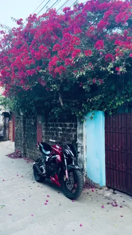Red beauty ❤️#foryou #foryoupage #viral #gixxy #unfrezzmyaccount 