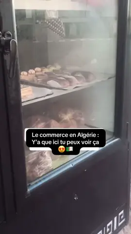 Vive nous 🥰❤️🇩🇿#algerie #pourtoi #fyp #dz #viral 