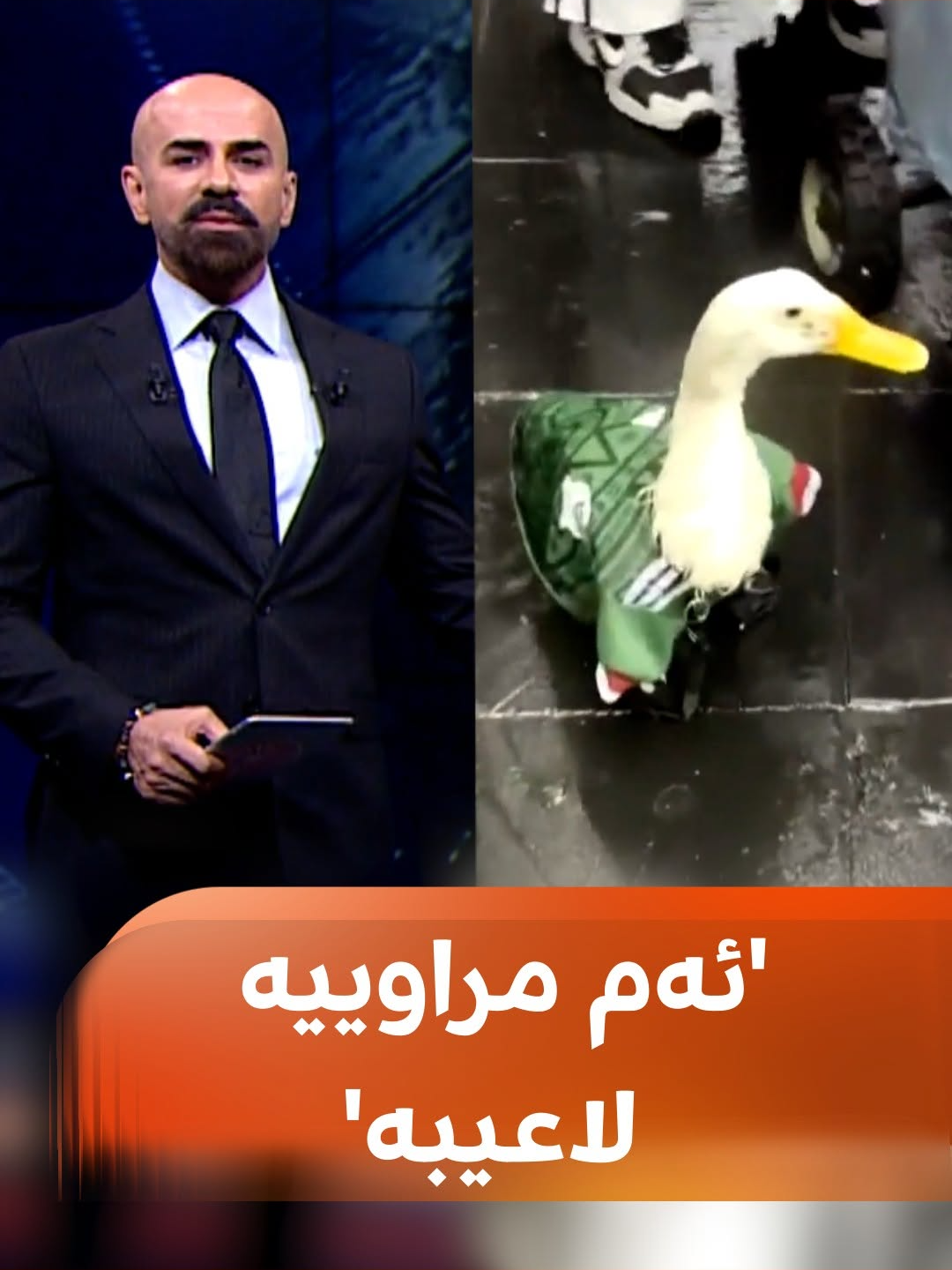 کۆمێنتی شاهۆ ئەمین لەبارەی مراوییە بەنێوبانگەکەی مۆندیال و مەکسیک: حەزی بەخۆ دەرخستنە، خاوەنەکەی کچێکە دەڵێ، بەیانیان درێسەکەم بۆ دەهێنێ پێم دەڵێ لەبەرمی بکە