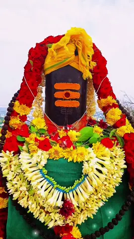 #thennadudaiya_shivane_potri #omnamahshivaya #shivanirukabayamen #ellampugalumiraivanukke #lordshivanblessing🕉🔱📿 