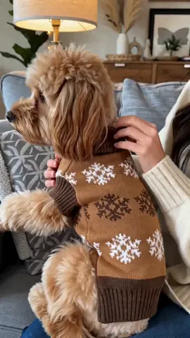 Your dog needs this snowflake sweater 🌨️🐶 Winter essential for small-medium dogs! #DogSweater #PetFashion #DogMomLife #TikTokMadeMeBuyIt #TikTokShopDealsforYouDays