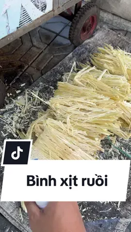 Bình xịt ruồi