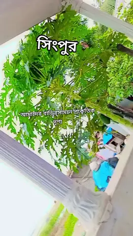 এই বাসির সুর টা আমার কাছে অনেক ভালো লাগে 