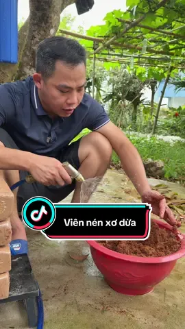 Viên nén xơ dừa #viennenxodua 