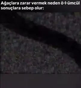 PATLAT METOO Asena keskinci,turk televizyon ve sinema oyuncusudur.20 nisan 2001 de istanbulda doğmustur.oyunculugu cocuk yasta baslamis ozellikte bez bebekte yagmur karakteriyle taninmistir.hirsiz polis,parmakliklar ardinda,masumiyet adi sevgi dizilerinde ve ask tesadufleri sever bla bla iste haa