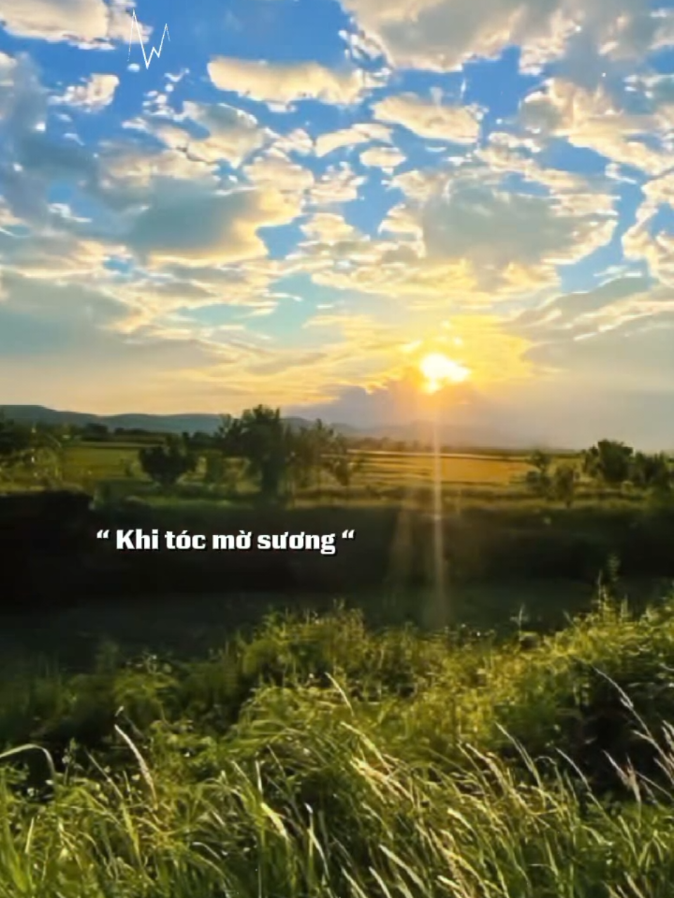 Khi sinh con ra... #nhacbuontamtrang  #nhactamtrang  #nhacbuon7891  #tamtrang_camxuc  #maucapcut 