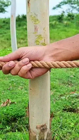 The Sheet Bend 🔥 The knot that connects two ropes when others fail. Master this skill and tie with confidence! 🪢 #fyp #foryoupage #結びテク #アウトドア知識 #highlights (168)