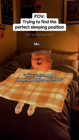 Trying to find the perfect sleeping position #catmemes #realatable #Relationship 